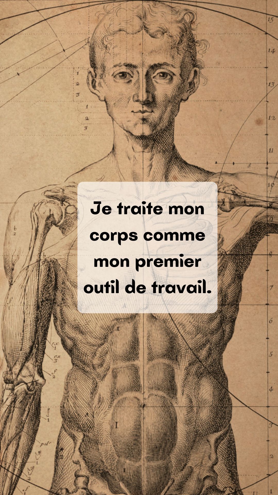 Fond d'écran : je traite mon corps comme mon premier outil de travail